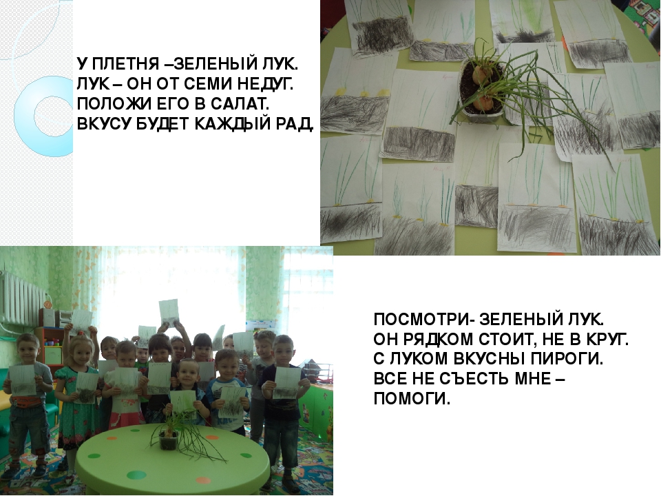 Презентация "Огород на окне"