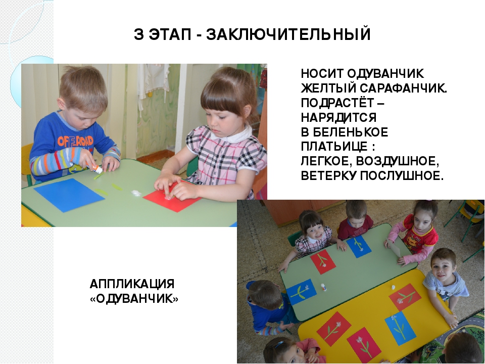 Презентация "Огород на окне"