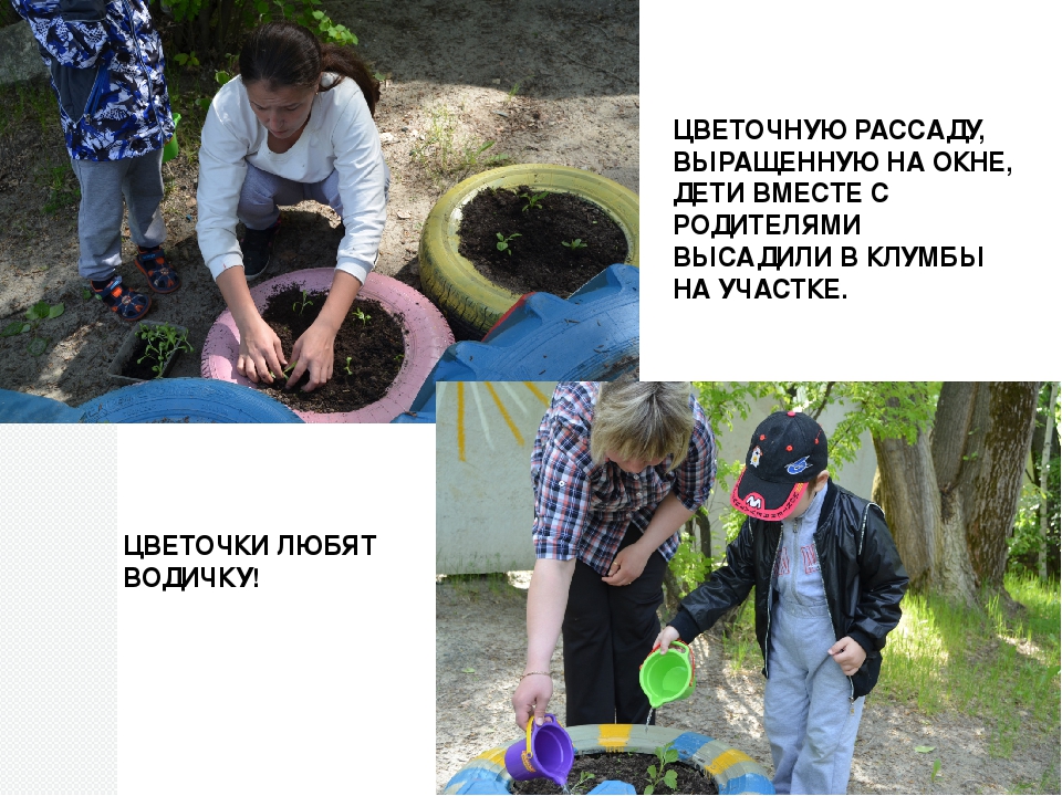 Презентация "Огород на окне"