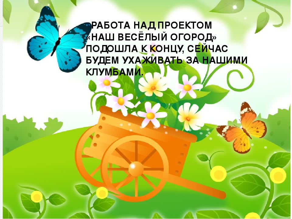 Презентация "Огород на окне"