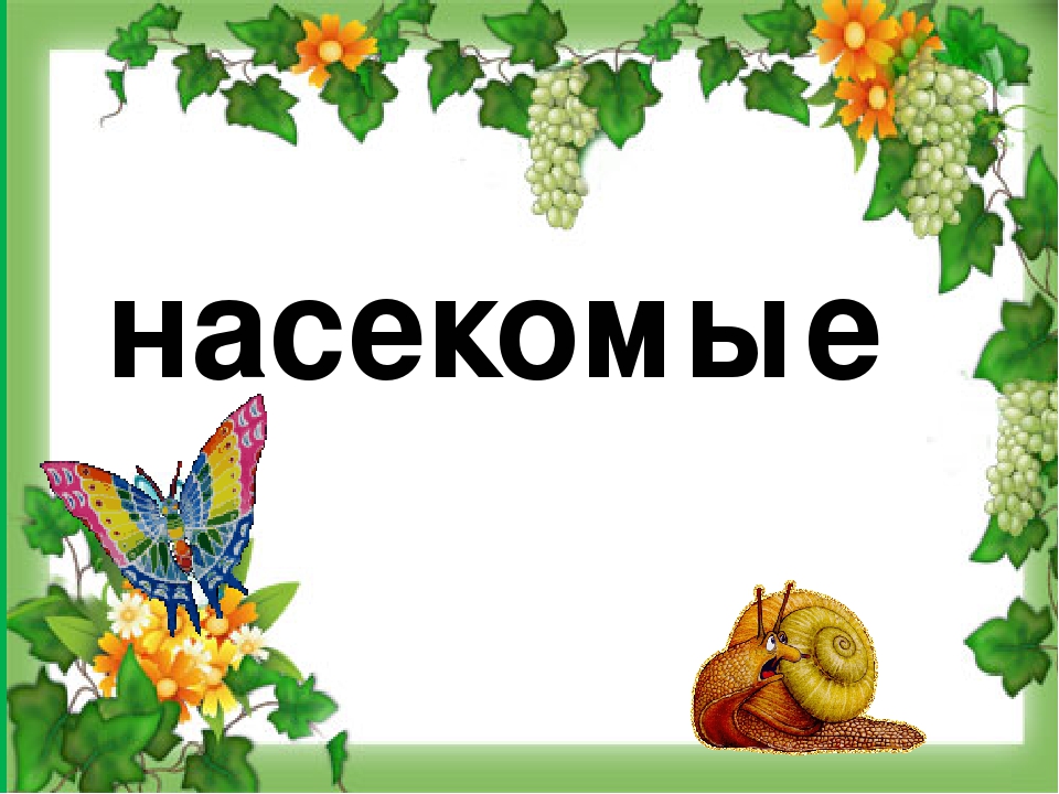 Развлечение для детей группы ЗПР.