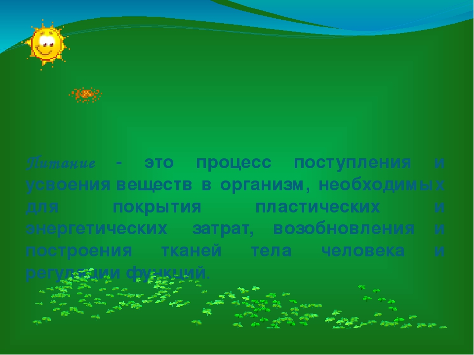 Консультация для родителей "Основы питания ребёнка 5-7 лет"