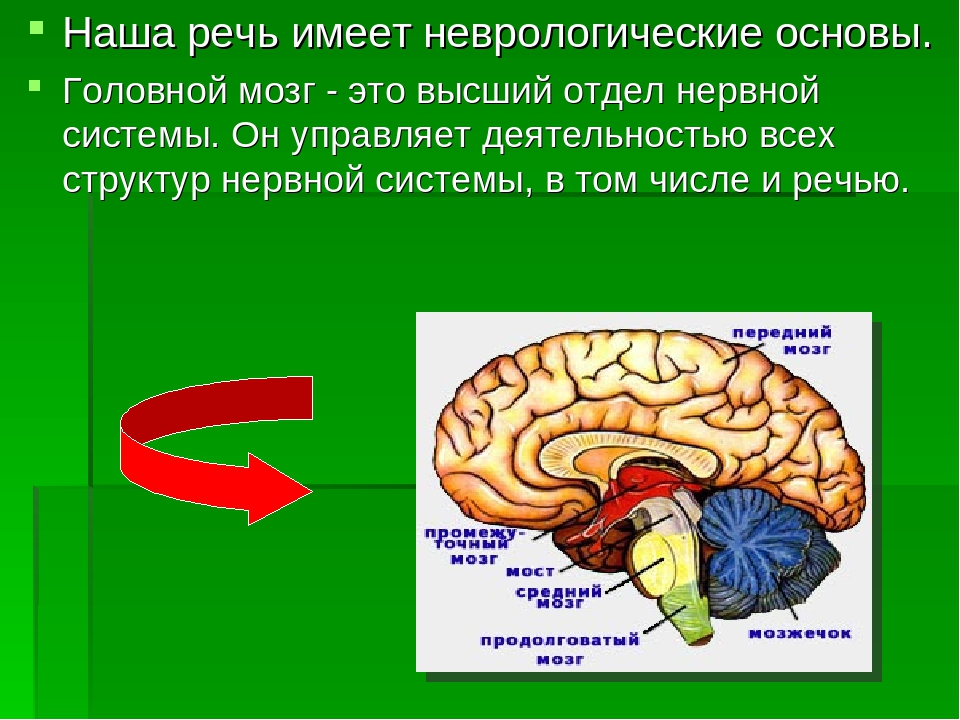 Презентация: "Сочетание пальчиковых игр и упражнений в речевом развитии младших дошкольников"