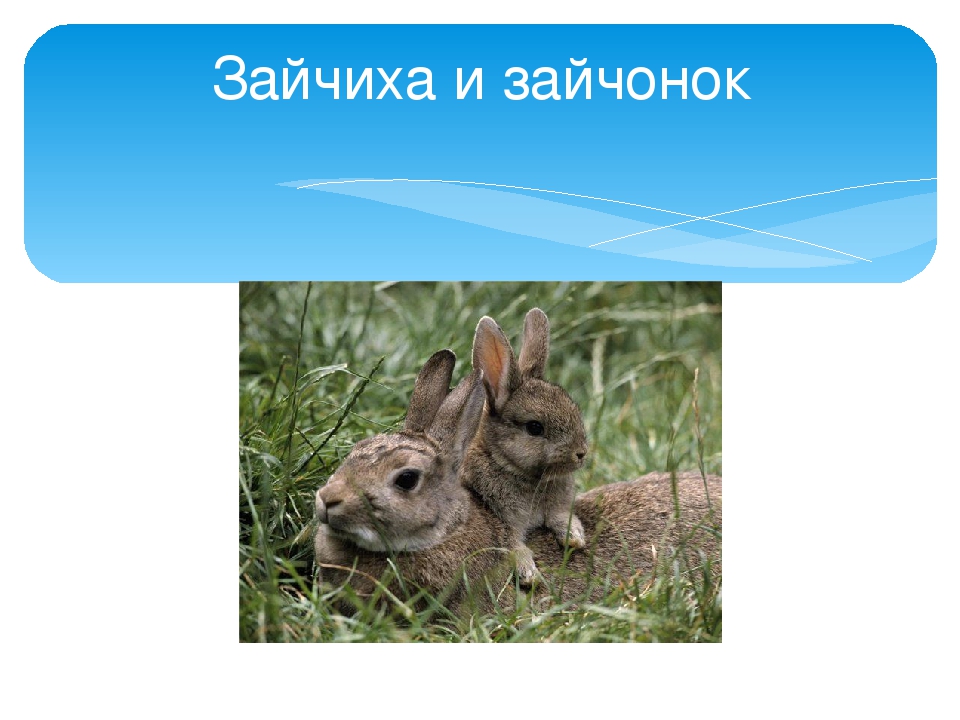 Презентация ко дню матери в старшей группе детского сада
