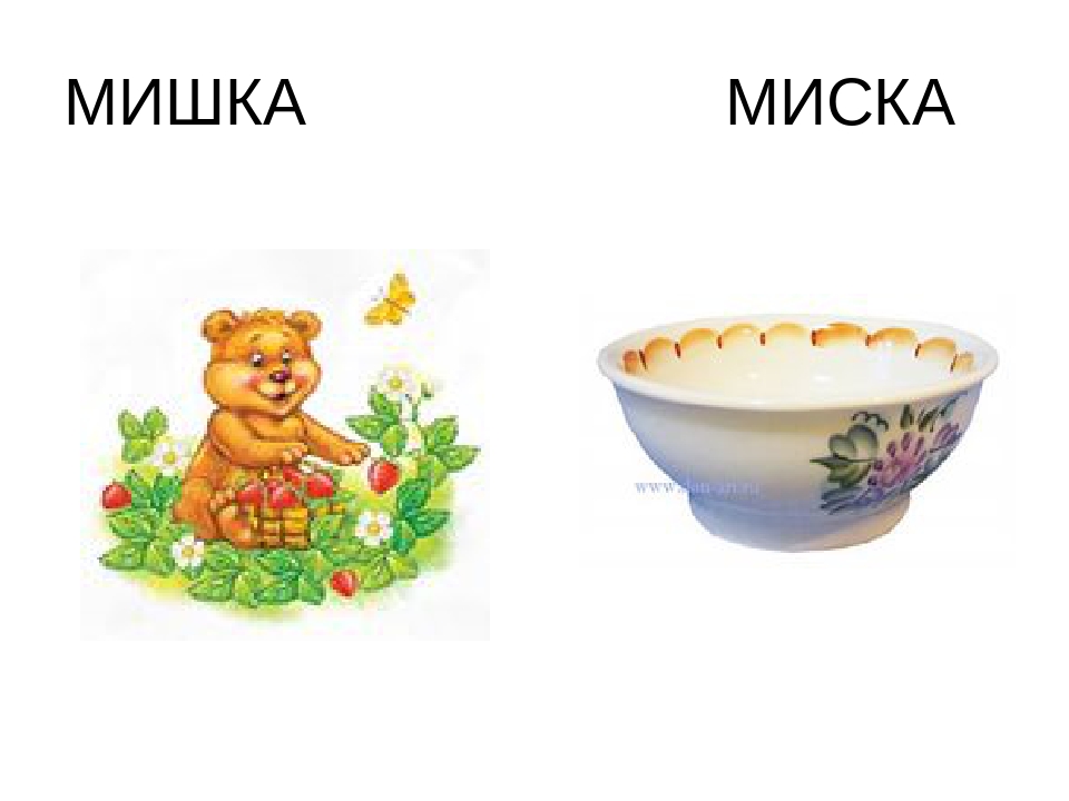 Ноткойн. Мишка миска. Мишка миска дифференциация. Миски для медведей. Картины миски для медведей детям.