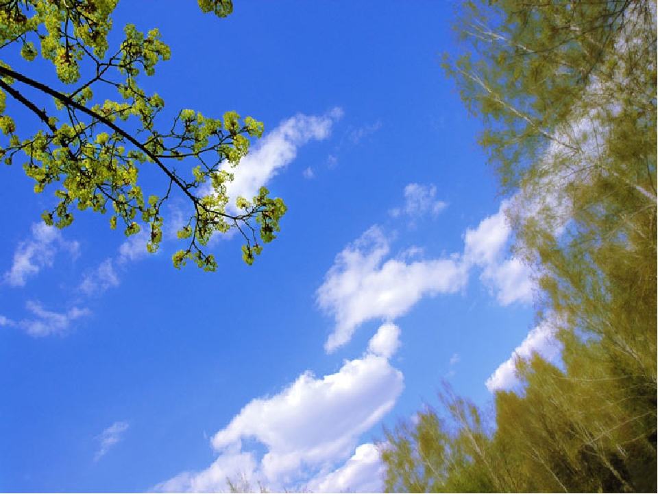 Песню знаешь небо голубое. Весеннее небо. Голубое небо весной.