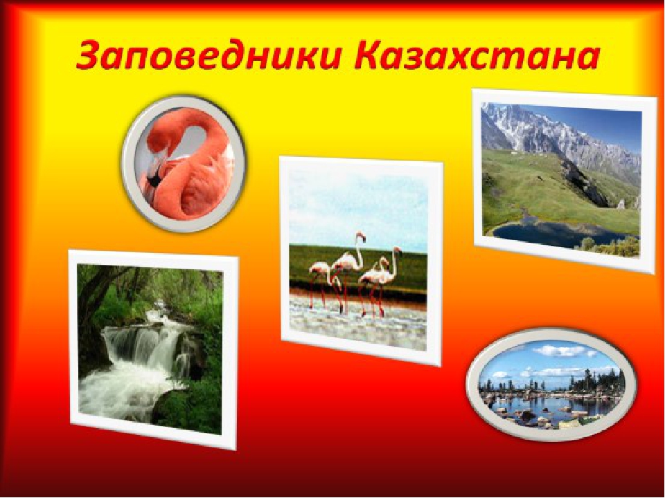 Презентация на тему: Моя родина Казахстан