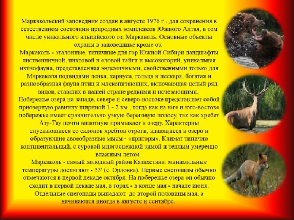 Презентация на тему: Моя родина Казахстан