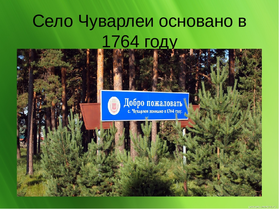 Презентпция : "Мои Чуварлеи"