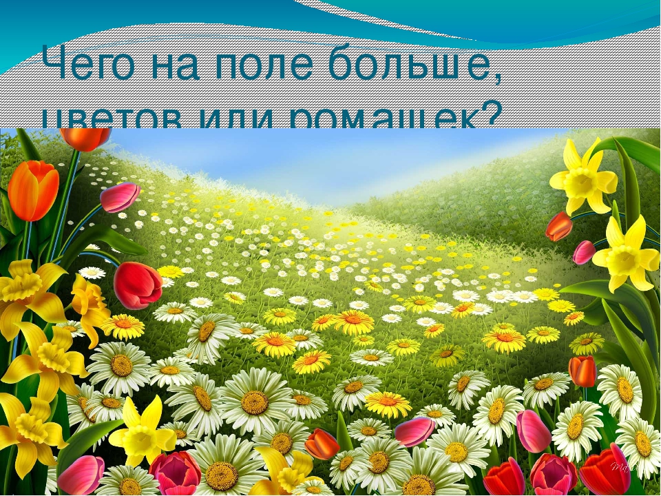 Презентация по ФЭМП на тему " КВН по математике" (старшая группа)