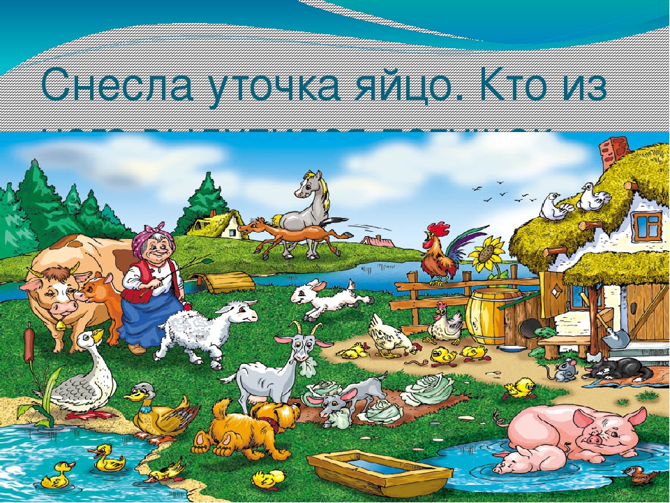 Презентация по ФЭМП на тему " КВН по математике" (старшая группа)