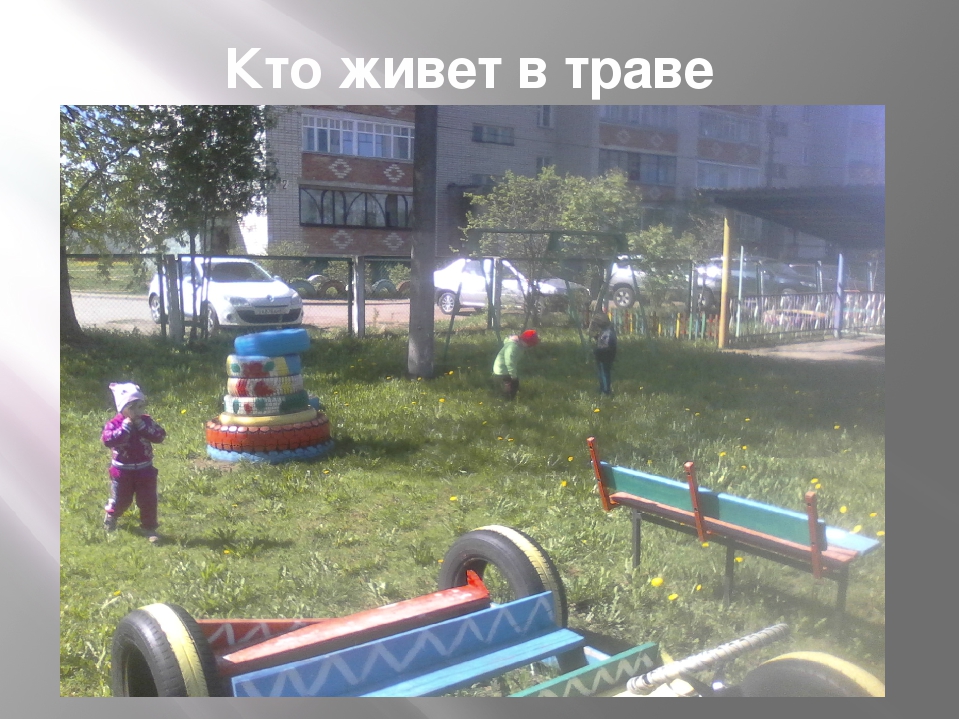 Презентация"Дети на прогулке в детском саду"
