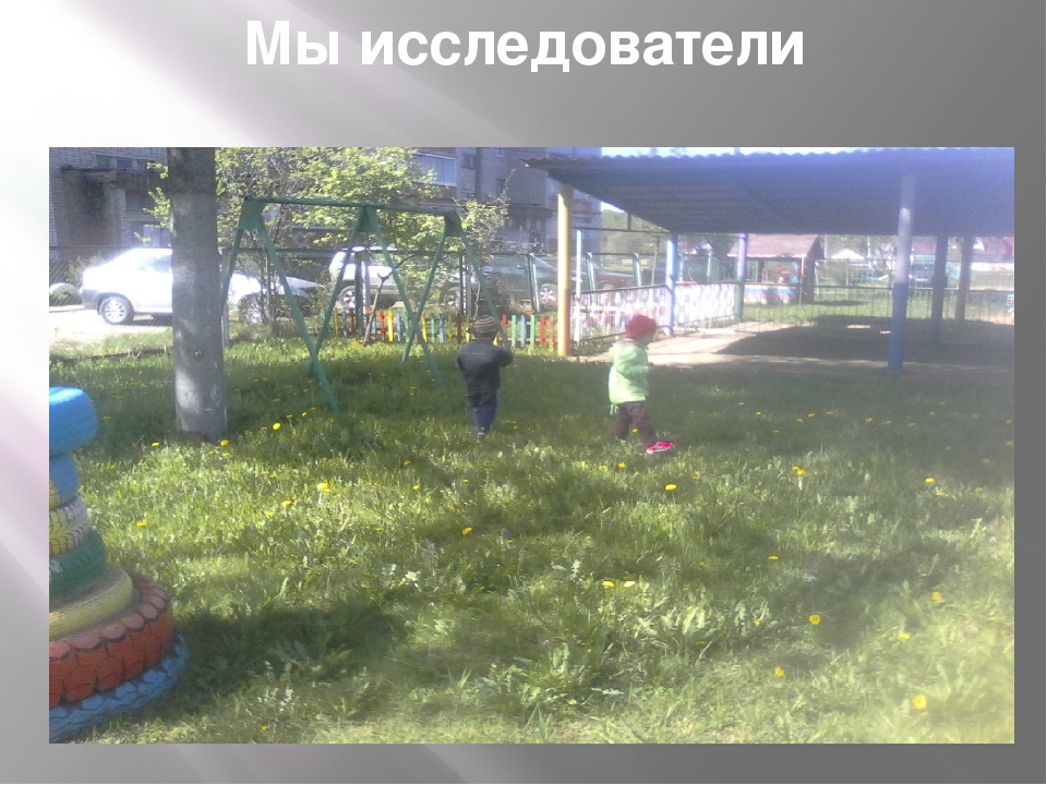 Презентация"Дети на прогулке в детском саду"