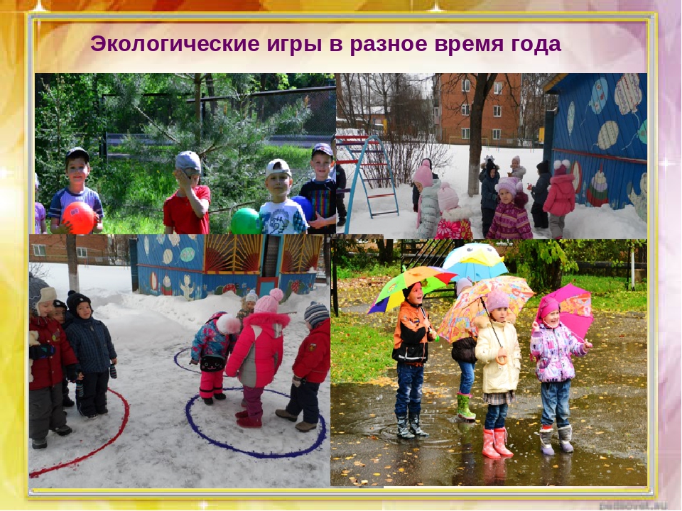 Презентация из опыта работы по экологическому воспитанию дошкольников