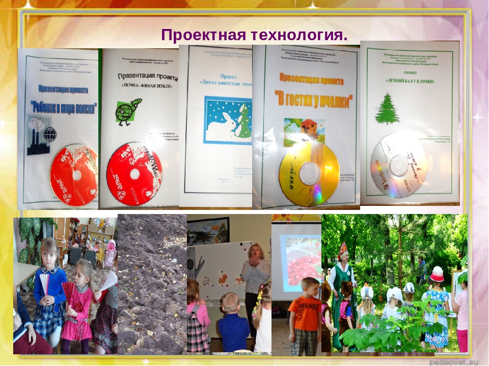Презентация из опыта работы по экологическому воспитанию дошкольников