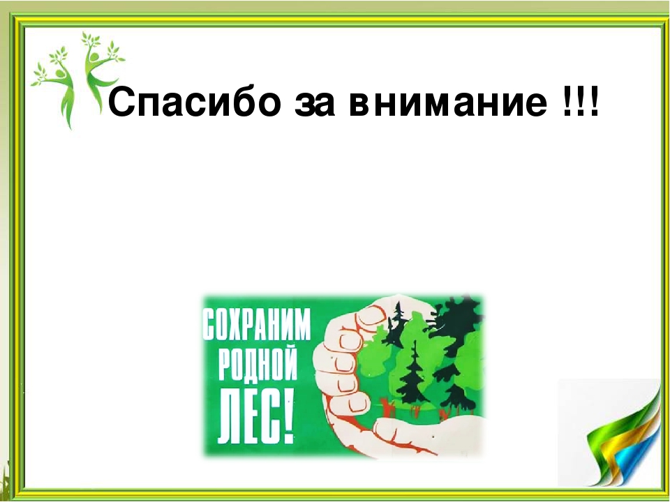 Презентация "Вторая жизнь бумаги"