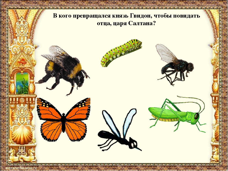 Викторина по сказкам А.С.Пушкина.