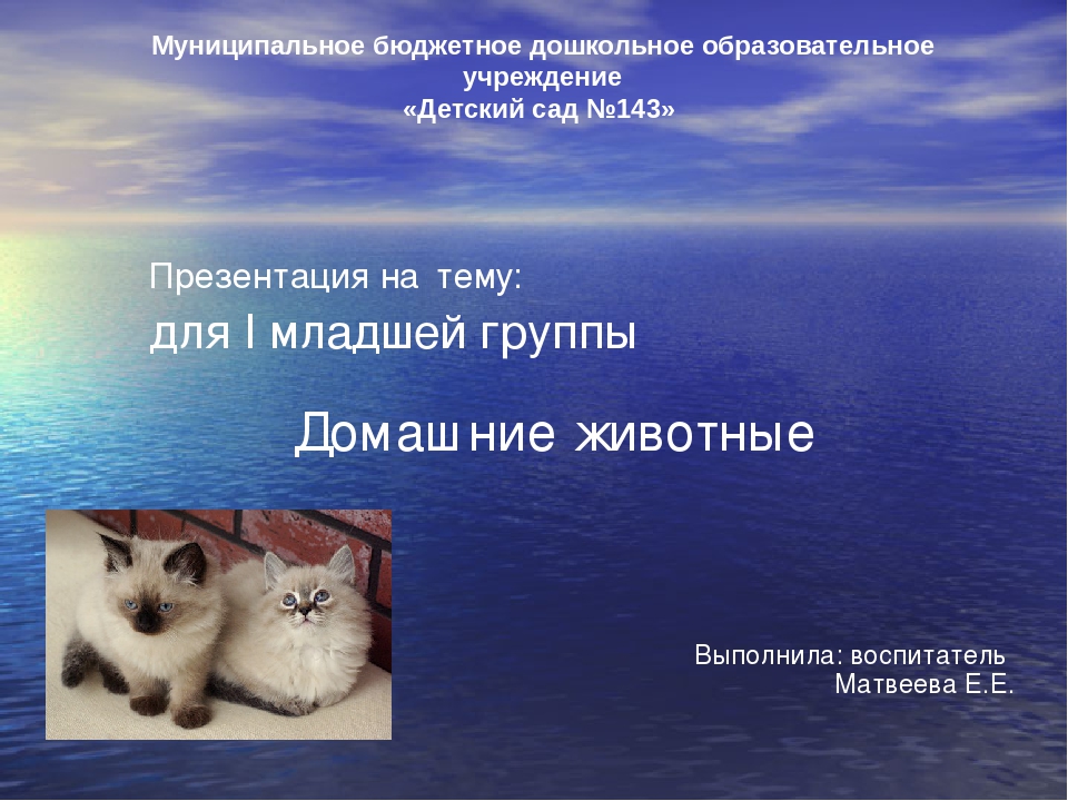 Презентация для детей 1й младшей группы. Домашние животные.