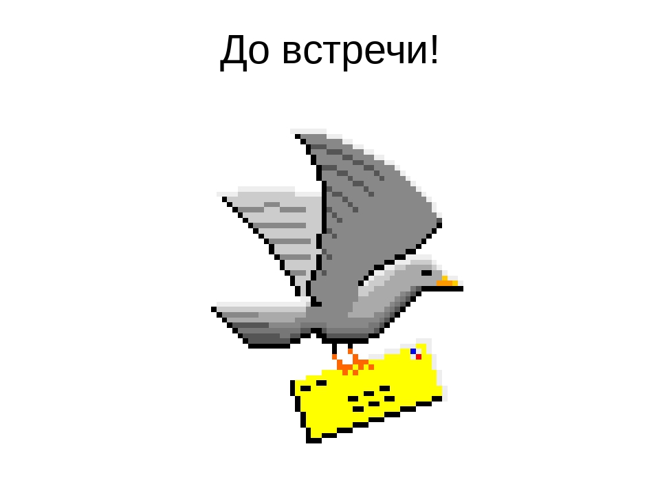 Презентация для детей 1й младшей группы. Домашние животные.