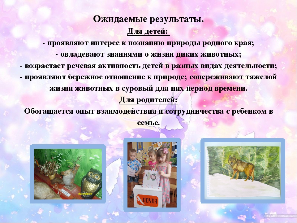 Презентация на тему "Моделирование тематической зоны "Мини-музей "Животные родного края"