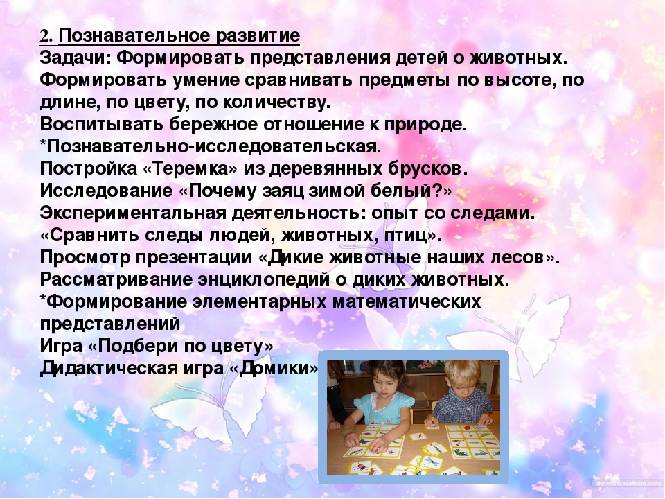Презентация на тему "Моделирование тематической зоны "Мини-музей "Животные родного края"