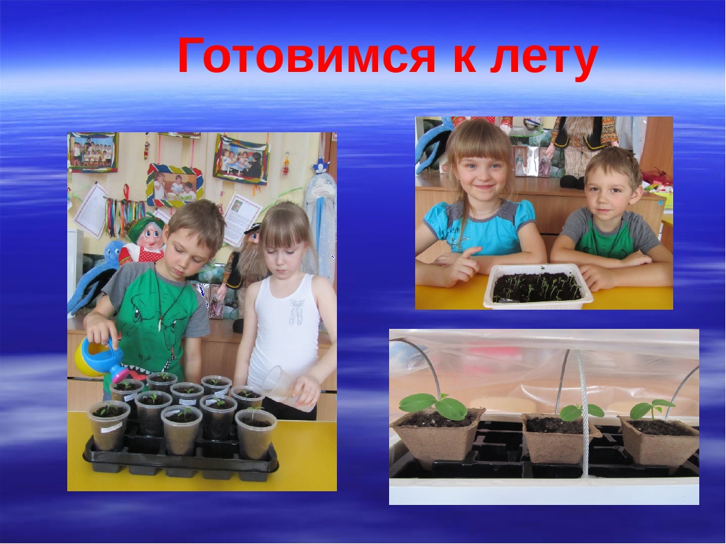 Презентация на тему "В гости к цветам"