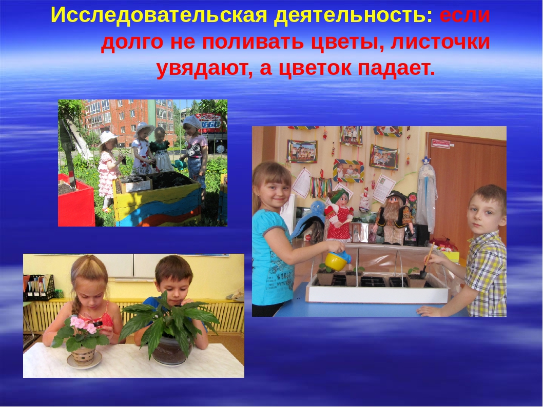 Презентация на тему "В гости к цветам"