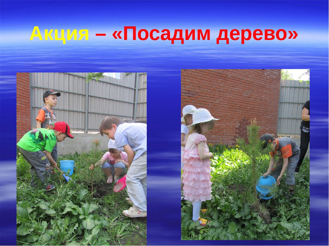 Презентация на тему "В гости к цветам"