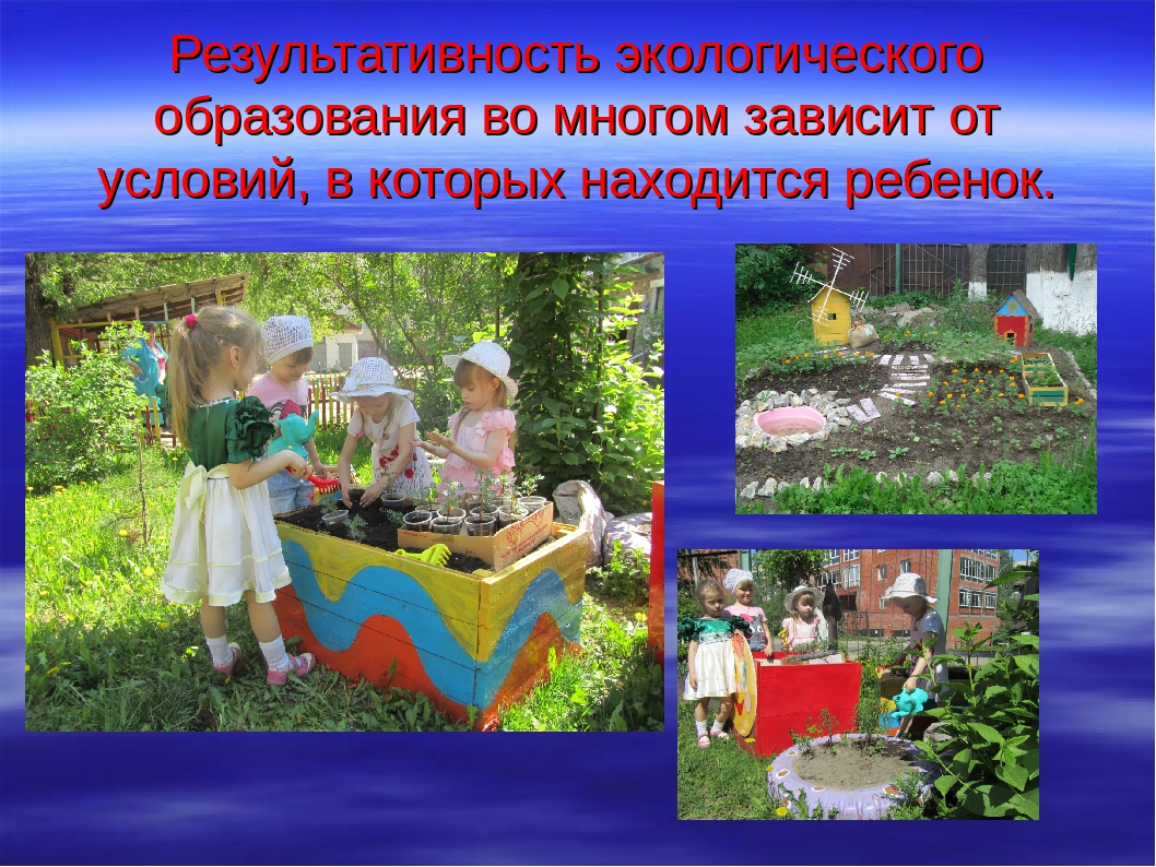 Презентация на тему "В гости к цветам"