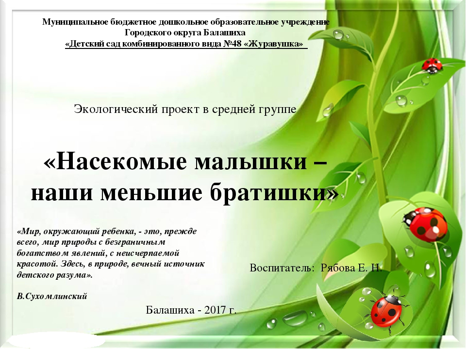 Презентация экологического проекта на тему "Насекомые малышки - наши меньшие братишки" для детей средней группы
