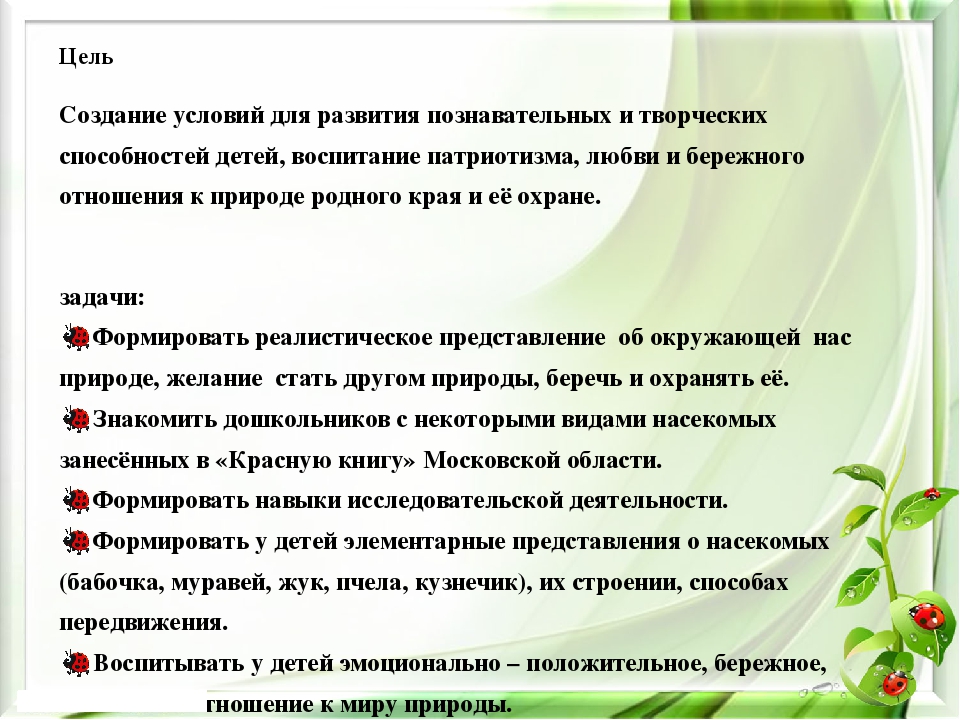Презентация экологического проекта на тему "Насекомые малышки - наши меньшие братишки" для детей средней группы