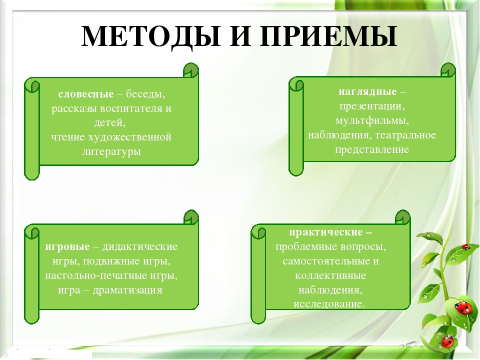 Презентация экологического проекта на тему "Насекомые малышки - наши меньшие братишки" для детей средней группы