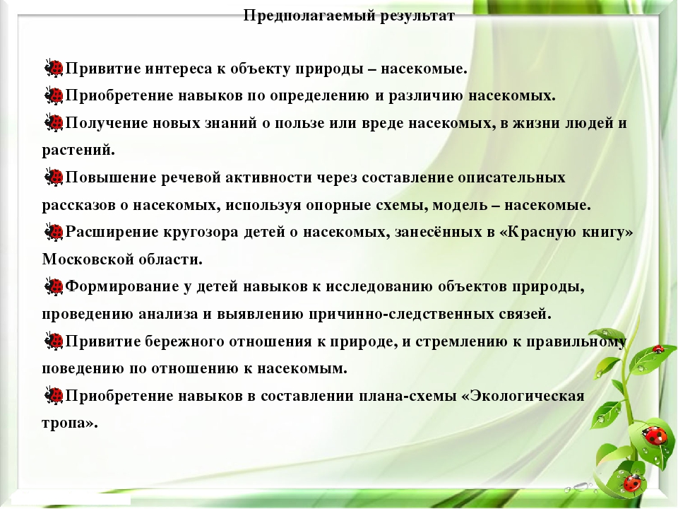 Презентация экологического проекта на тему "Насекомые малышки - наши меньшие братишки" для детей средней группы