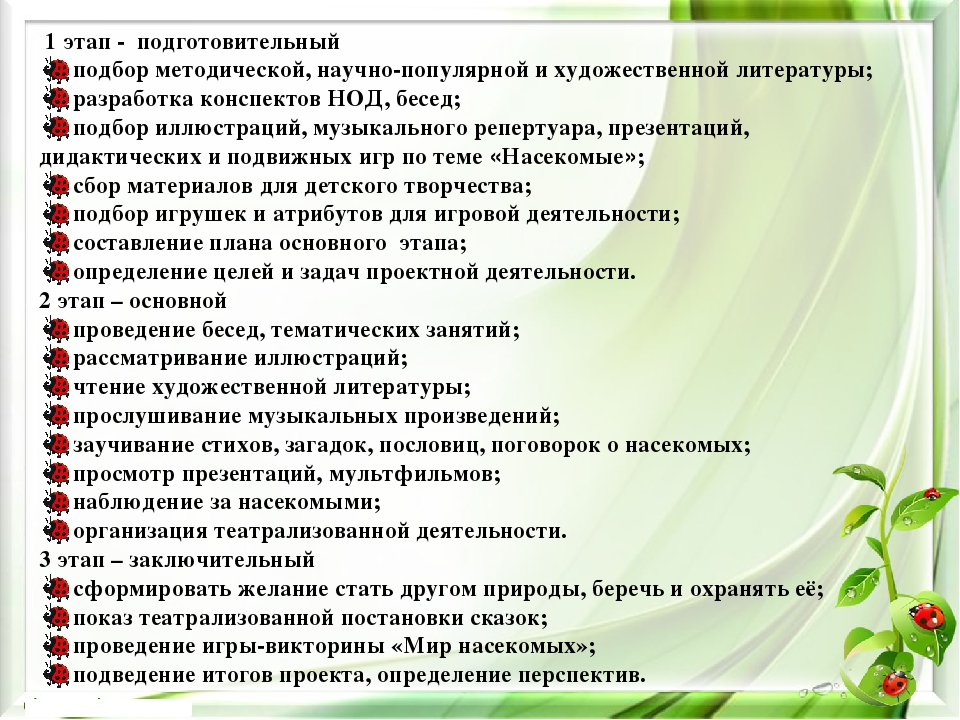 Презентация экологического проекта на тему "Насекомые малышки - наши меньшие братишки" для детей средней группы