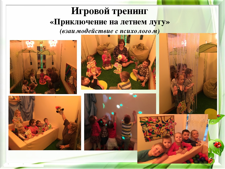 Презентация экологического проекта на тему "Насекомые малышки - наши меньшие братишки" для детей средней группы
