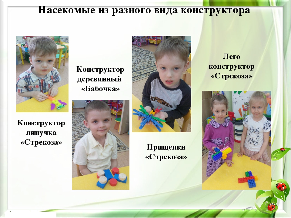 Презентация экологического проекта на тему "Насекомые малышки - наши меньшие братишки" для детей средней группы