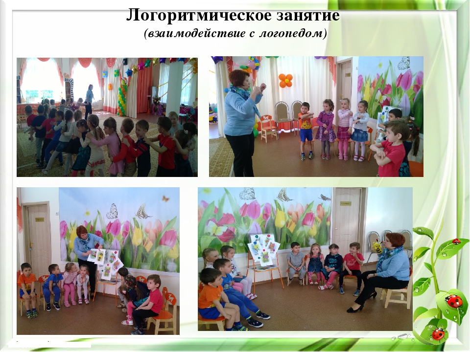 Презентация экологического проекта на тему "Насекомые малышки - наши меньшие братишки" для детей средней группы