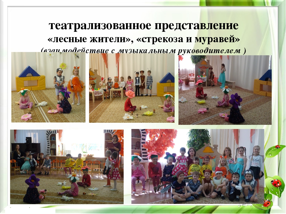 Презентация экологического проекта на тему "Насекомые малышки - наши меньшие братишки" для детей средней группы
