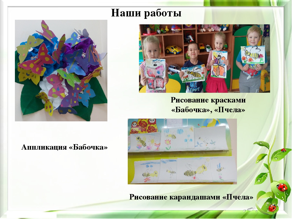 Презентация экологического проекта на тему "Насекомые малышки - наши меньшие братишки" для детей средней группы