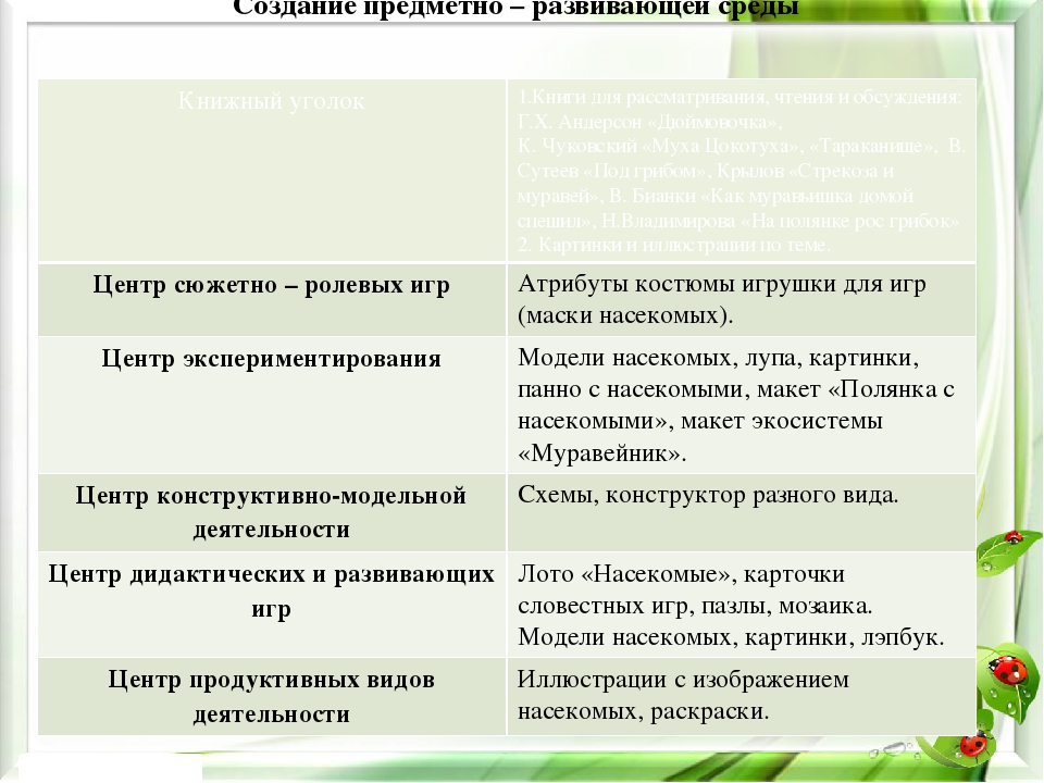 Презентация экологического проекта на тему "Насекомые малышки - наши меньшие братишки" для детей средней группы