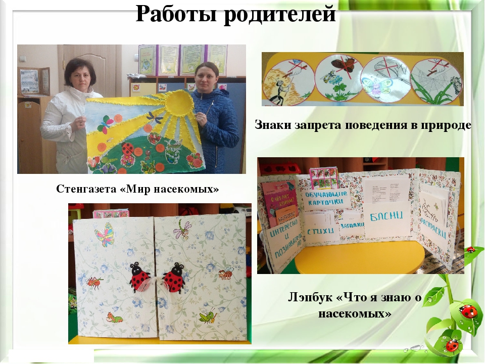 Презентация экологического проекта на тему "Насекомые малышки - наши меньшие братишки" для детей средней группы