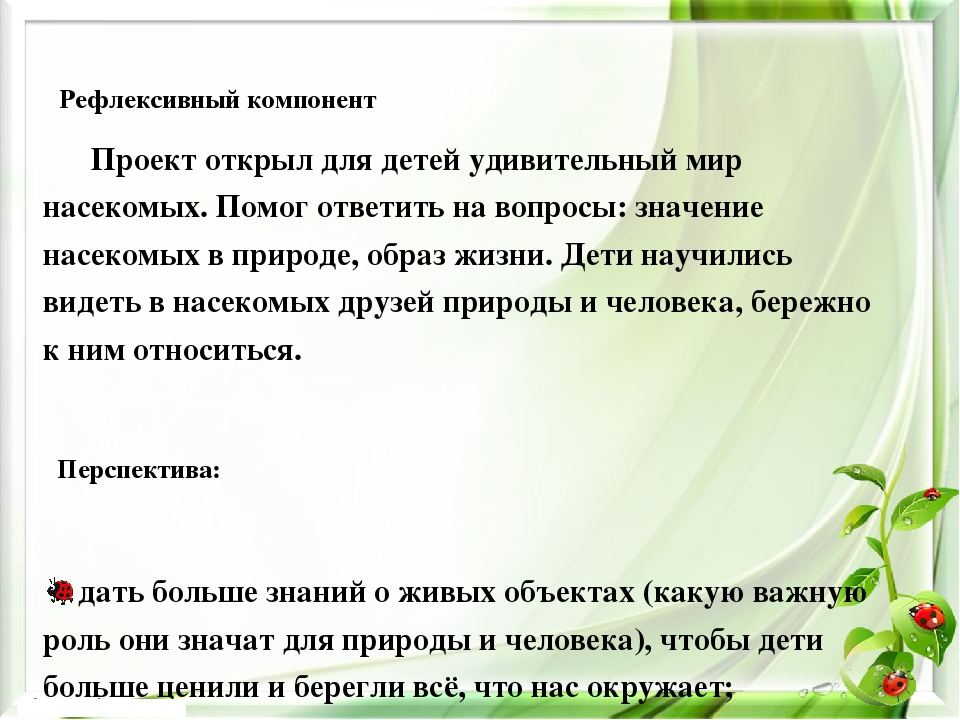 Презентация экологического проекта на тему "Насекомые малышки - наши меньшие братишки" для детей средней группы
