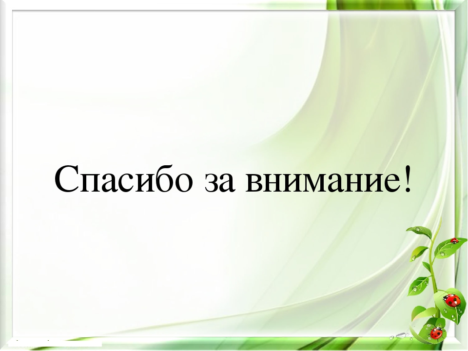 Презентация экологического проекта на тему "Насекомые малышки - наши меньшие братишки" для детей средней группы