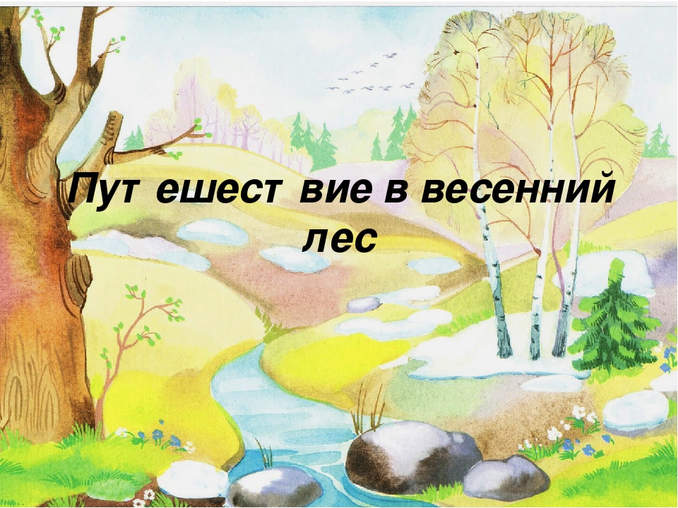 Презентация к НОД "Путешествие в весенний лес"