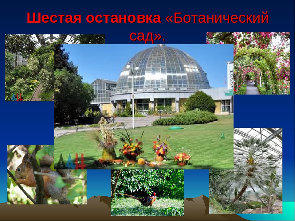 Презентация "Мой родной край - ДОНБАСС. МАКЕЕВКА"