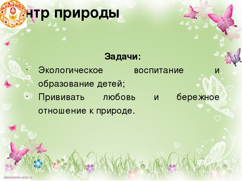 Презентация "Организация предметно-развивающей среды" вторая младшая группа