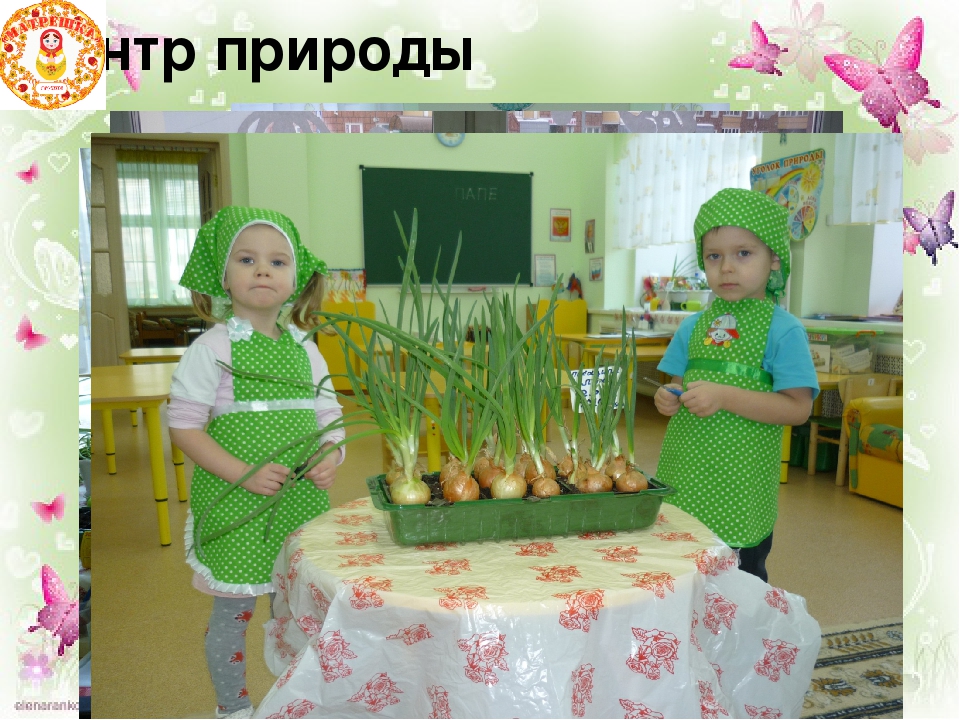 Презентация "Организация предметно-развивающей среды" вторая младшая группа