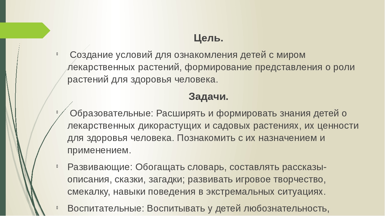 Проект: МИНИ-МУЗЕЙ "Лекарственные растения Южного Урала"