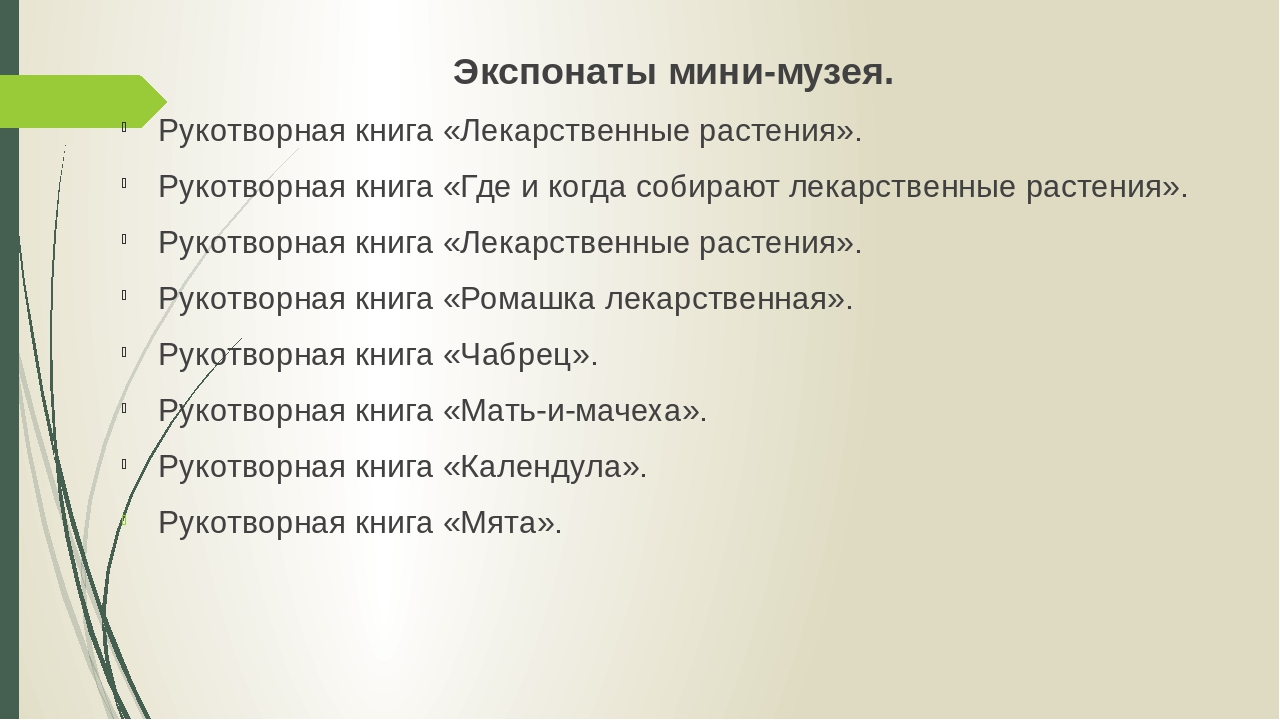Проект: МИНИ-МУЗЕЙ "Лекарственные растения Южного Урала"