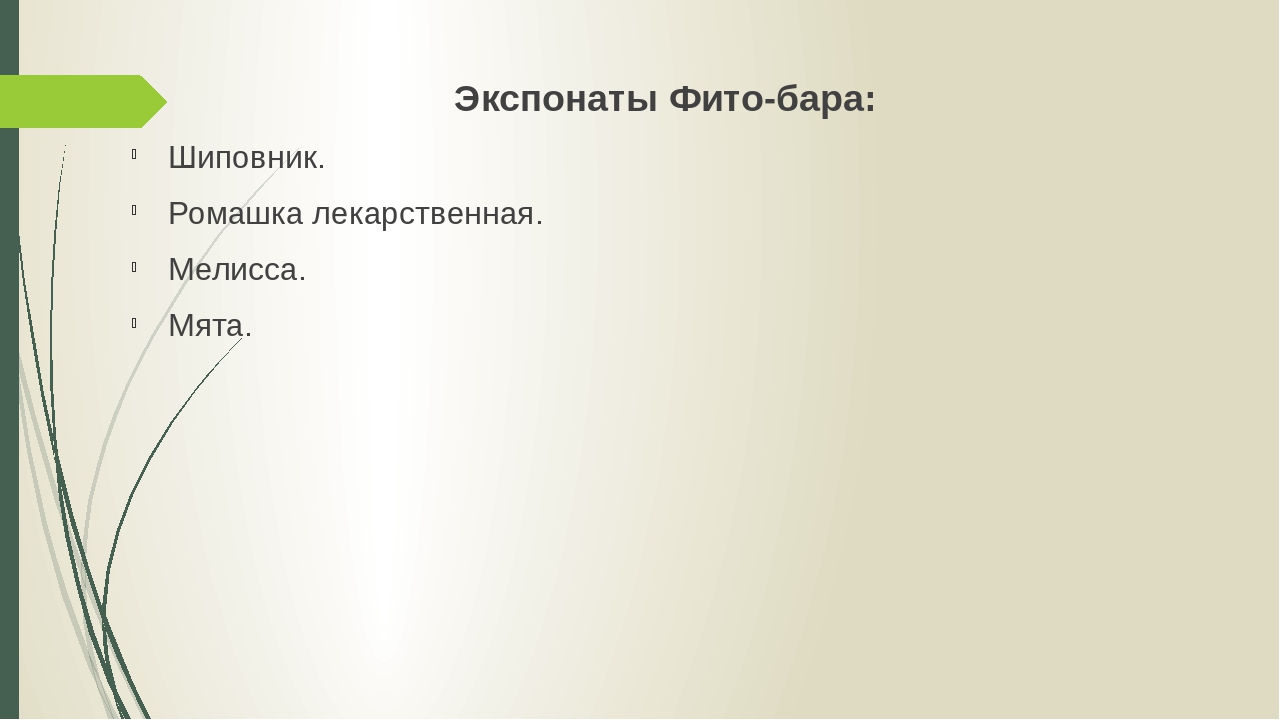 Проект: МИНИ-МУЗЕЙ "Лекарственные растения Южного Урала"
